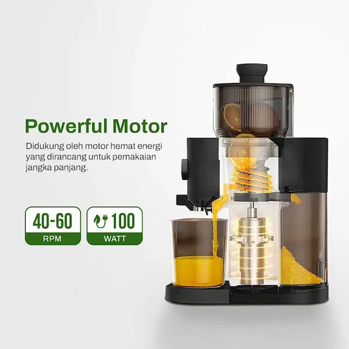 Bolde Slow Juicer Ice Sorbet Maker 2 in 1 Z8